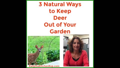 KTKK Cruelty-free Deer Deterrents