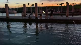 Truck Takes a Dive at Boat Ramp