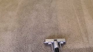 Satisfying Carpet Cleaning