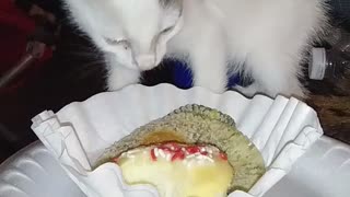 Cake eating a cupcake