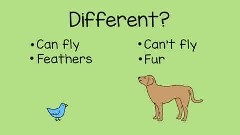 Comparing Animals