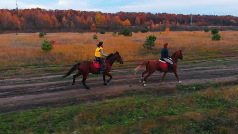 Two women are galloping ginger horses on the autumn field