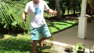 Man Loses Balance While Picking Bananas