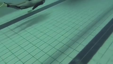 Shark swallows man in an unbelievable swimming pool