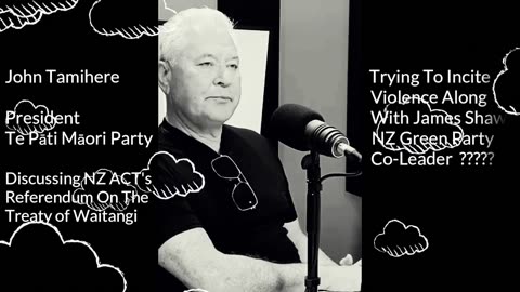 John Tamihere and James Shaw Inciting Violence