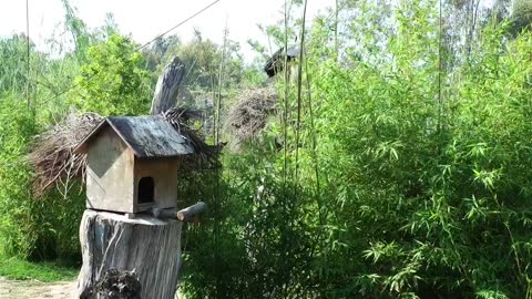 Wooden bird house