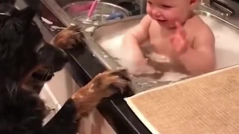 Cute Dog and Baby video