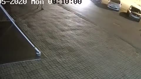 Wild Bear attack captured on CCTV