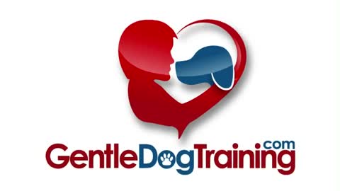 The Keys to a Fantastic Dog Promo Video for Gentle Dog Trainingcom_360p