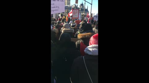Ottawa Crowd - Trucker Rally