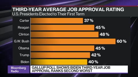 Biden Approval Rating, Voter Concerns