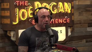 The Queering of a Generation: Joe Rogan, PBD, & more