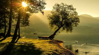 Serene Ambience of Birds at the Lake.