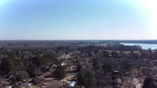 Sandhill Cranes Flight