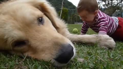 A dog & children playing ball in field.