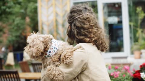 Adorable Dog on the lap of a Beautiful woman