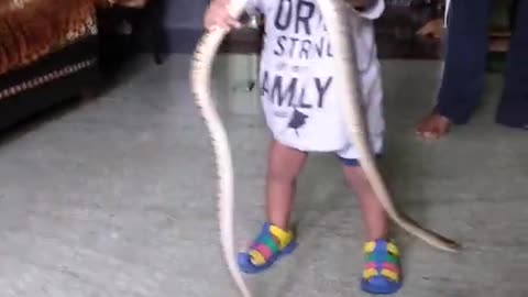 Little baby Playing with Snake 🐍😱