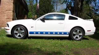 2005 - 2014 Mustang Stripe graphic sets