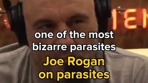 Joe Rogan on Cat Parasite