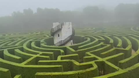 Big Green Maze In Tentegorra. | Interesting Facts #Shorts #topchannel