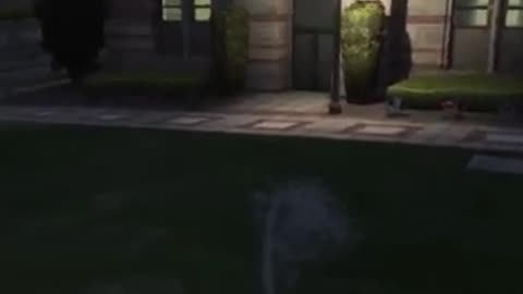 Gta V Pissin on Da Lawn