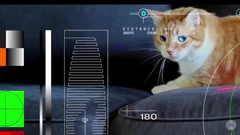 NASA Tech Demo Streams Cat Video From Deep Space Via Lase