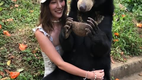 Bear Sits on Lady's Lap for a Snack