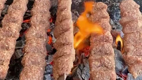Delicious kebab