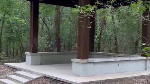 A small pavilion in the woods