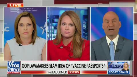 Mercedes Schlapp And Chris Hahn Debate COVID Passports