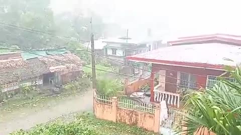GUSTINESS OF TYPHOON