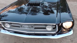 1967 Mustang Black with GT stripes
