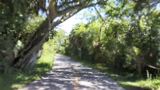 Sanibel Island, FL, Beach Bicycling Exploring 2022-08-07 part 4 of 7