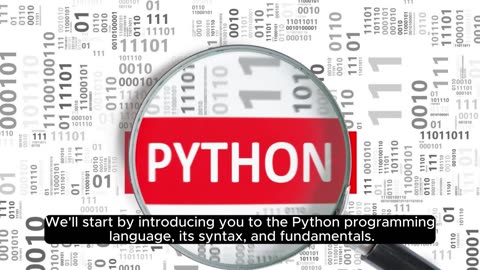 Coding Excellence_ A Comprehensive Python Program