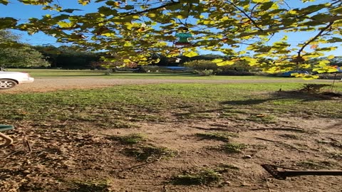 Golden hour on the farm