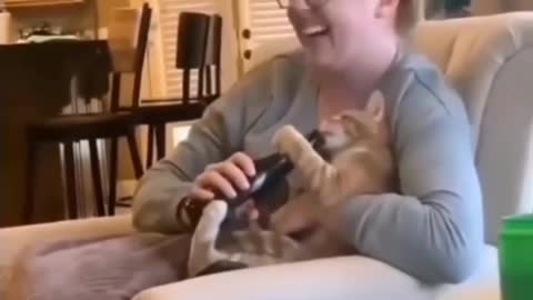 Cat insists on its owner to drink 😁 funny reaction