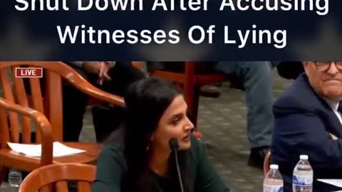 Michigan Democrat gets shut down after accusing witnesses of lying