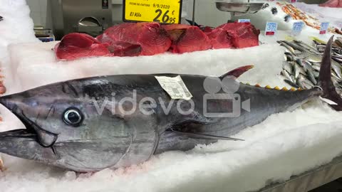 Big tuna fish on ice at a seafood market in Estepona, Spain, labels show fish name with location and