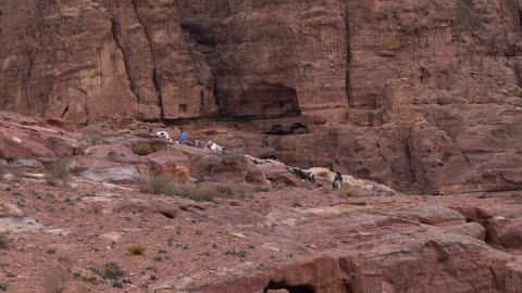 Goats Grazing in the Desert, Real Time