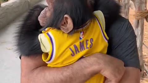 “Monkey Hugs: When a Playful Primate Can’t Wait to Embrace You!”