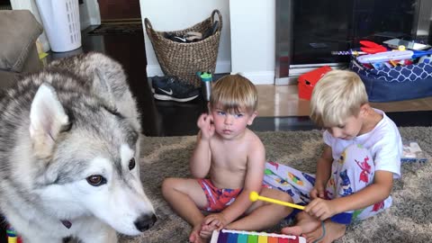 Singing husky howls along with the kids