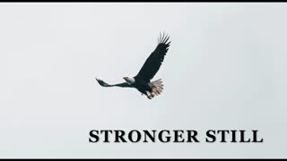 Pray USA 1/30/24 Stronger Still