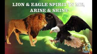 Lion & Eagle Spirit In Me, Arise & Shine