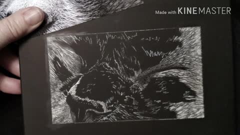 Annie (Annabelle) - Scratchboard Cat Portrait WIP