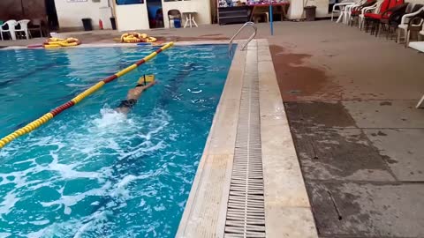 swimming coach youssef