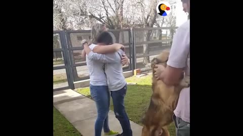 Boy Reunited with Lost Dog | The Dodo