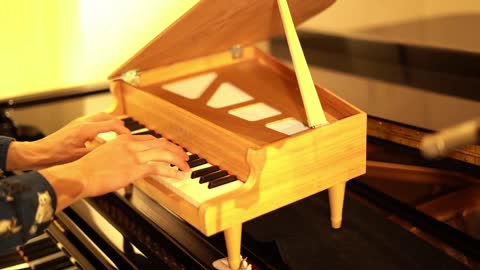 Japanese Piano Sonata Beethoven Appassionata on Toy Piano