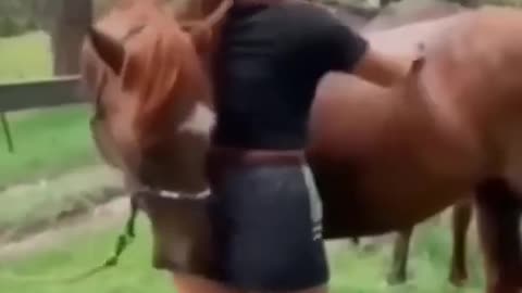 Horse kissing ladies buttocks