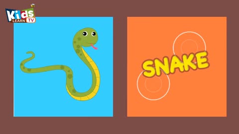 Reptiles-Reptiles-Names-Amphibians-and-R_2