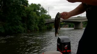 River Fishing Small Mouth Beat Down